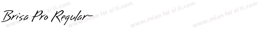 Brisa Pro Regular字体转换